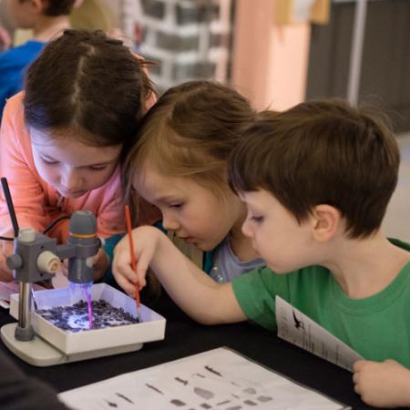 children look at fossils through a microscope