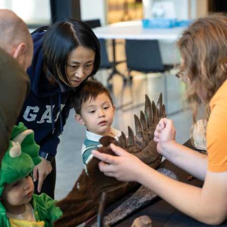 parent and kid look at a cast of the jaw of a theropod