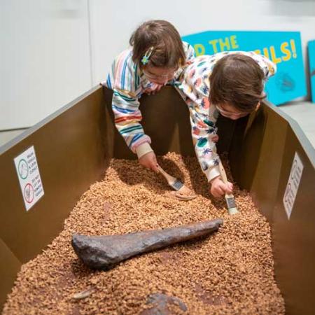 kids in the dig pit at fossil finders