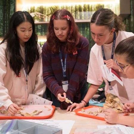 voices in science participants