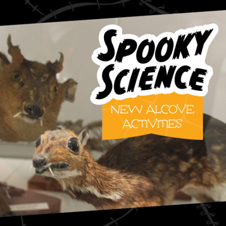 animal specimens with a text overlay that says spooky science new alcove activities