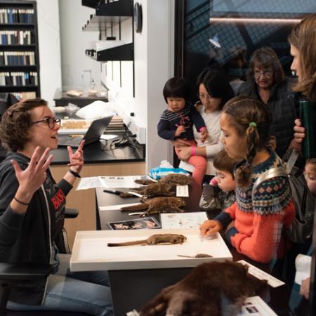 a staff member talks to visitors in an open door with squirrel specimens on a table in front of them
