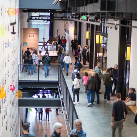 looking down at visitors in the hall on the 2nd floor