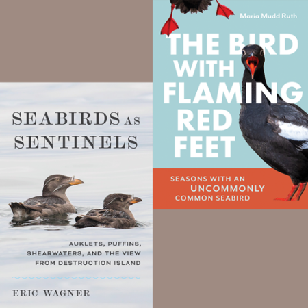 two book covers collaged in a square Seabirds as Sentinels and The Bird with the Flaming Red Feet