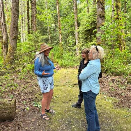 people participate an interview in a forest