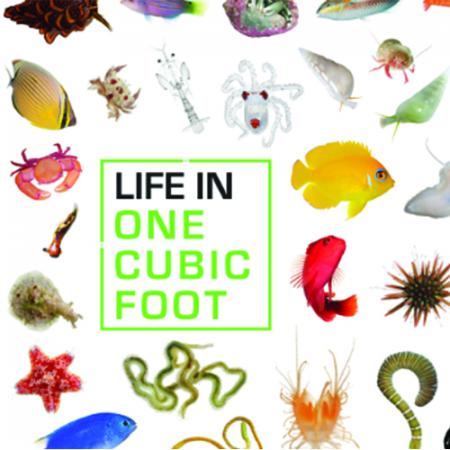 A variety of animals on a white background with the words life in one cubic foot