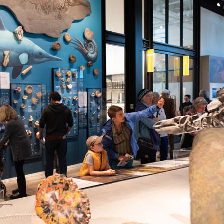 a family looks at dinosaur fossils