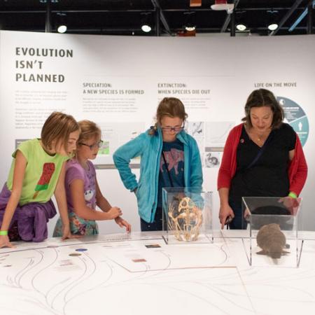 a family looks at various skulls in a case in the exhibits