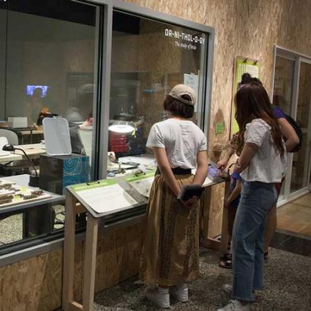 A group of people peer into the windows of a workroom