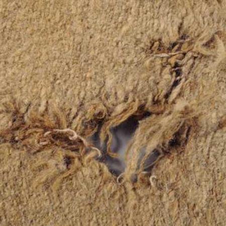 A tear in the blanket revealed the remarkable weaving expertise used to make it and also exposed fibers that looked like woolly dog fur. Photo: Burke Museum