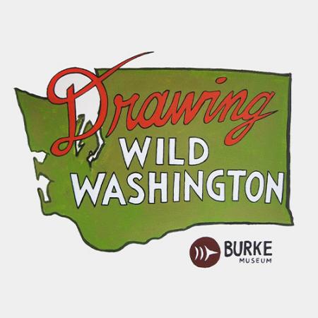 Drawing Wild Washington logo