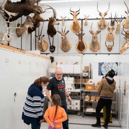 members in the mammalogy collections storage during behind the scenes 2023