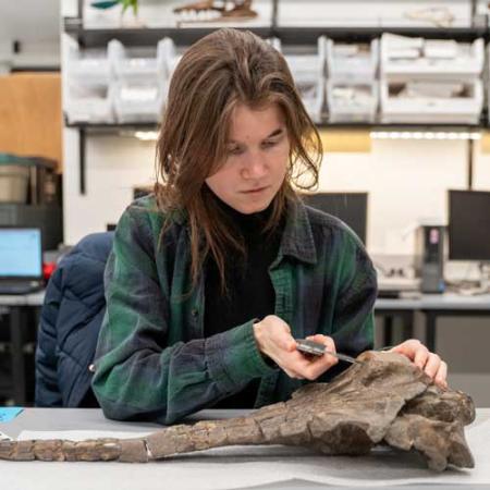 Woman sits a table using calipers to measure the width of something on a fossilized whale skull.