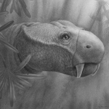 a lifelike rendering of a dicynodont with tusks
