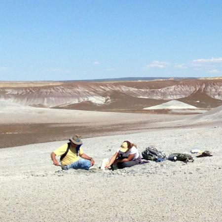 Two paleontologists sit on the barren ground and search for fossils in the ground
