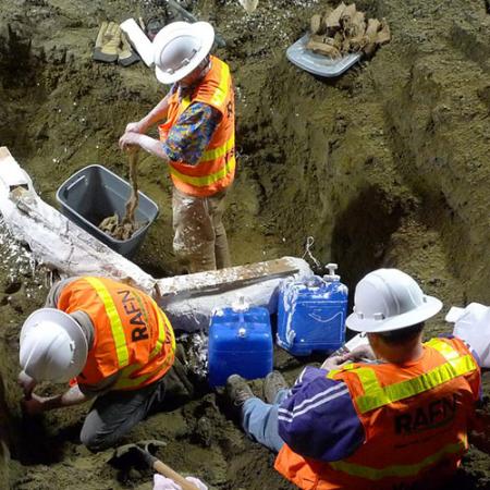 Three men wearing safety gear apply plaster and wood to the tusk while it's still in the ground