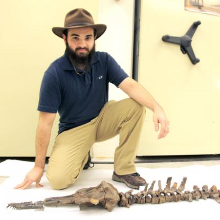 a man kneels next to the skeleton of a fossilized dolphin laid out on the floor