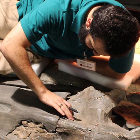 a young man lays next to a fossilized whale skeleton to examine it closely