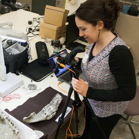 A woman researcher in a workroom takes photographs of reptile bones
