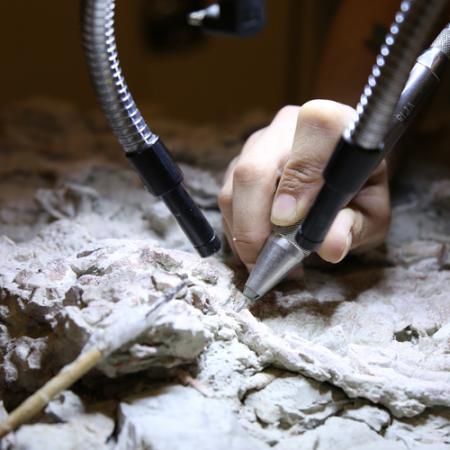 closeup of a person using a miniature handheld jackhammer to remove rock from a fossil