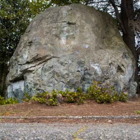 Wedgwood rock wide shot