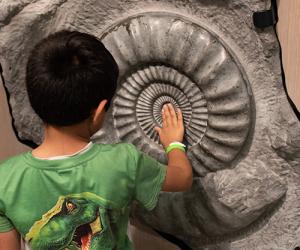 boy with fossil