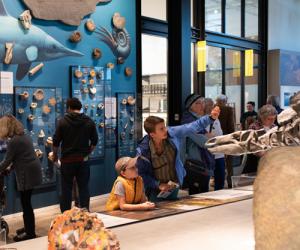 a family looks at dinosaur fossils