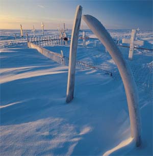 Inupiat Cemetery: Inupiat cemetery marked with bowhead whale jawbones in Kaktovik, Alaska. Photo by Subhankar Banerjee. Photos were taken between March 2001 through Fall 2002.