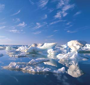 Icebergs. Icebergs along the coastal waters of Icy Reef. Photo by Subhankar Banerjee. Photos were taken between March 2001 through Fall 2002.