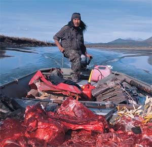 Gwich'in Moose Hunt: Gwich’in tribal member in the midst of a moose hunt. Photo by Subhankar Banerjee. Photos were taken between March 2001 through Fall 2002.