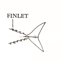 Finlets