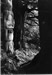 Howkan Village Pole, photo by A. de Menil