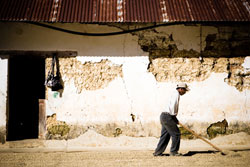 Farmer raking coffee beans