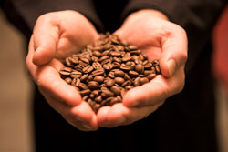 Handful of beans