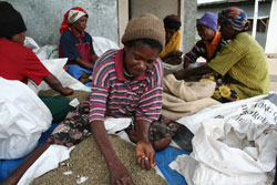 Group of people sorting beans