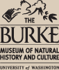 burke Museum
