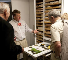 Burke staff leads a tour of the ornithology collection. Photo by Andrew Waits.