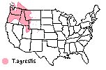 Fall 2002 distribution map of hobo spider