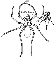 Ill-printed "fiddle" diagram