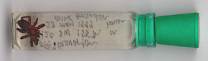 Spider preserved in alcohol in stoppered vial with label