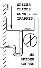 Drawing of spider access routes to sink