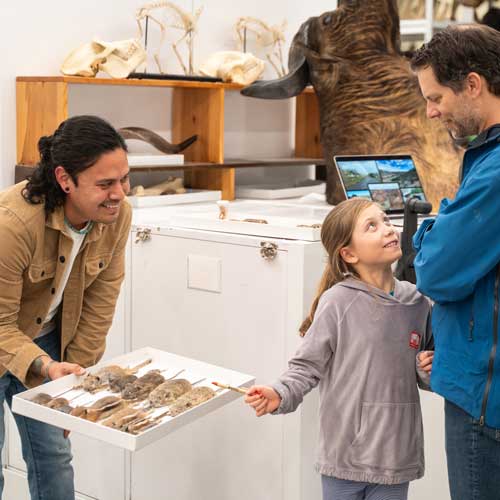 a kid and parent learn about mammals at behind the scenes night